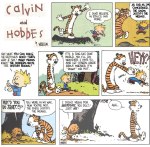 Calvin And Hobbes Ethics