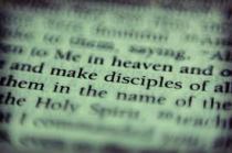 disciple